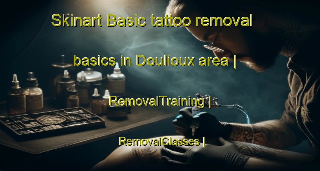 Skinart Basic tattoo removal basics in Doulioux area | RemovalTraining | RemovalClasses | SkinartTraining-France
